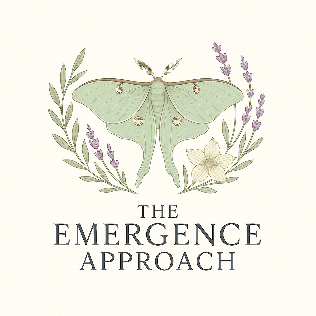 The Emergence Approach Veronica