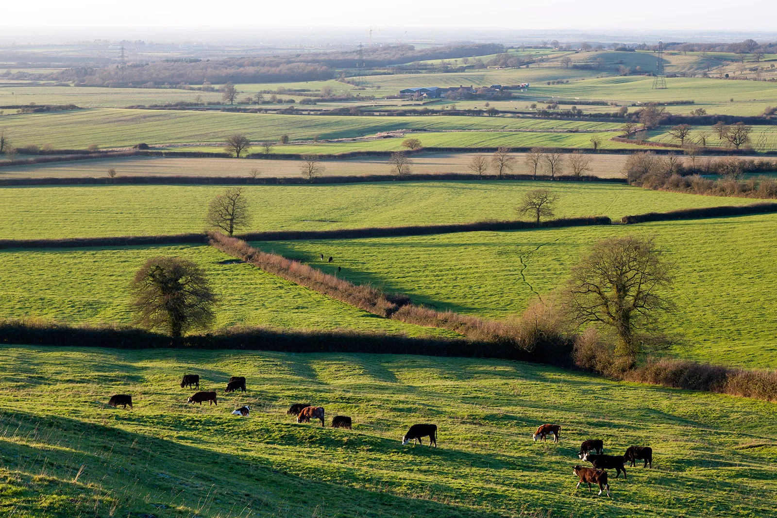 Buckinghamshire Buckinghamshire